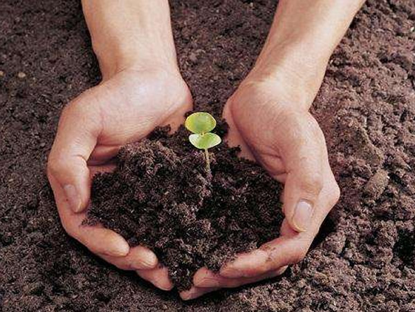 中国建成高精度数字土壤数据库