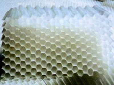 乙丙共聚蜂窝斜管